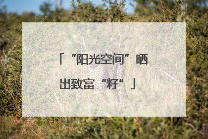 “阳光空间”晒出致富“籽”