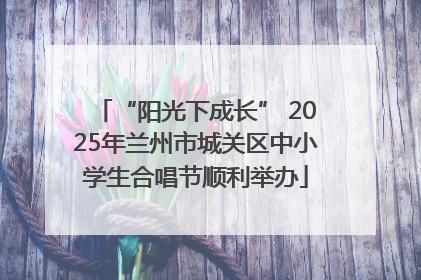 “阳光下成长” 2025年兰州市城关区中小学生合唱节顺利举办
