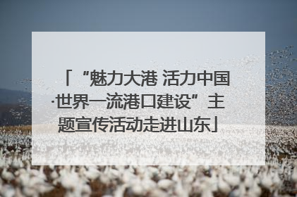 “魅力大港 活力中国·世界一流港口建设”主题宣传活动走进山东