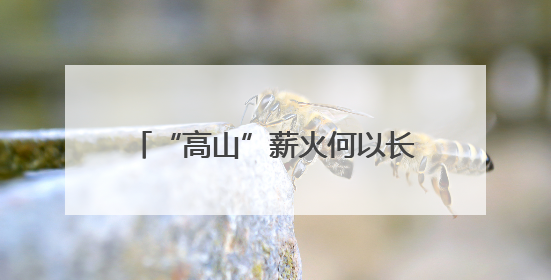 “高山”薪火何以长明？一份公益诉讼检察建议发出后……