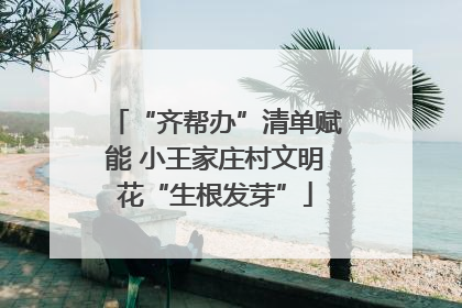 “齐帮办”清单赋能 小王家庄村文明花“生根发芽”