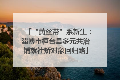 “黄丝带”系新生：淄博市桓台县多元共治铺就社矫对象回归路