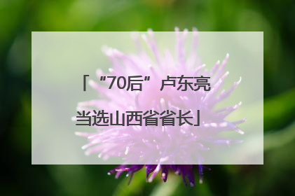 “70后”卢东亮当选山西省省长