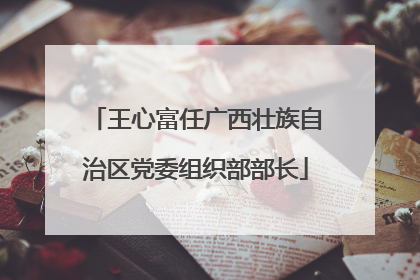 王心富任广西壮族自治区党委组织部部长