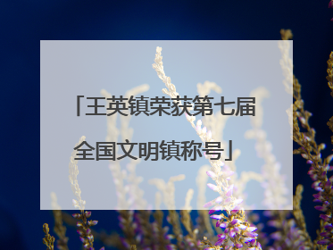 王英镇荣获第七届全国文明镇称号