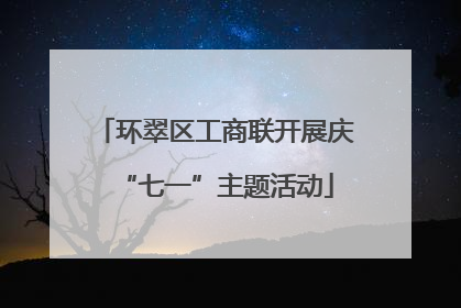 环翠区工商联开展庆“七一”主题活动