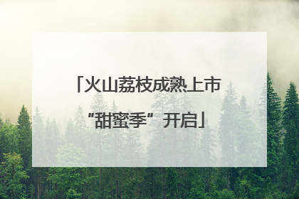 火山荔枝成熟上市 “甜蜜季”开启