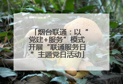 烟台联通：以“党建+服务”模式开展“联通服务日”主题党日活动