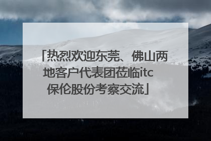 热烈欢迎东莞、佛山两地客户代表团莅临itc保伦股份考察交流