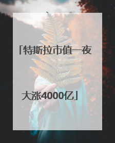 特斯拉市值一夜大涨4000亿