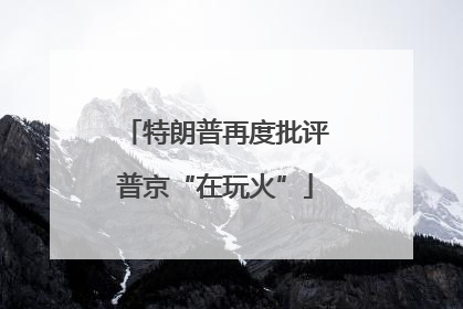特朗普再度批评普京“在玩火”