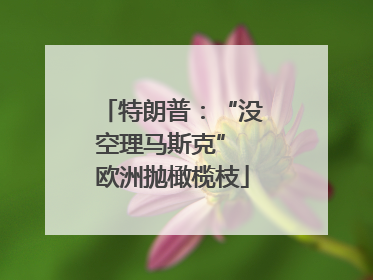 特朗普：“没空理马斯克” 欧洲抛橄榄枝