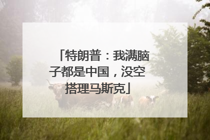 特朗普：我满脑子都是中国，没空搭理马斯克