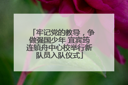 牢记党的教导，争做强国少年 宜宾筠连镇舟中心校举行新队员入队仪式