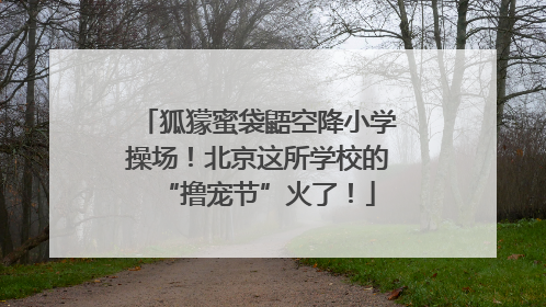 狐獴蜜袋鼯空降小学操场！北京这所学校的“撸宠节”火了！