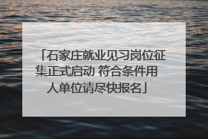 石家庄就业见习岗位征集正式启动 符合条件用人单位请尽快报名