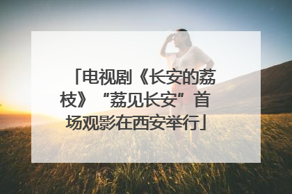 电视剧《长安的荔枝》“荔见长安”首场观影在西安举行