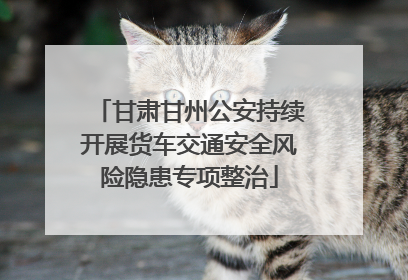 甘肃甘州公安持续开展货车交通安全风险隐患专项整治