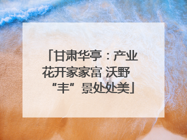 甘肃华亭：产业花开家家富 沃野“丰”景处处美