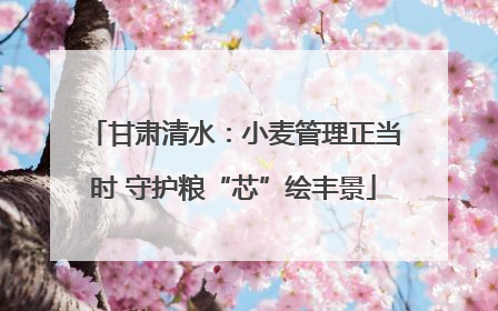 甘肃清水：小麦管理正当时 守护粮“芯”绘丰景