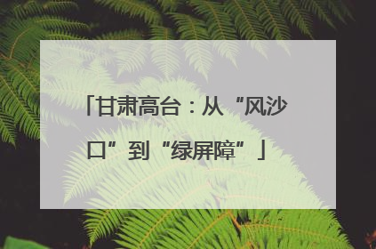 甘肃高台：从“风沙口”到“绿屏障”