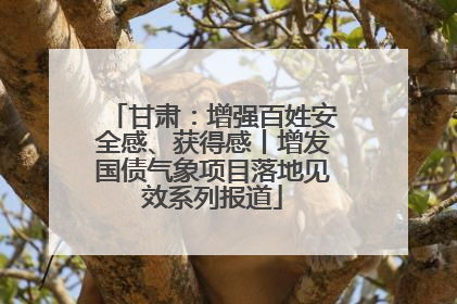 甘肃：增强百姓安全感、获得感丨增发国债气象项目落地见效系列报道