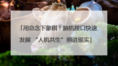用意念下象棋！脑机接口快速发展 “人机共生”照进现实