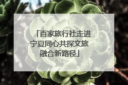 百家旅行社走进宁夏同心共探文旅融合新路径