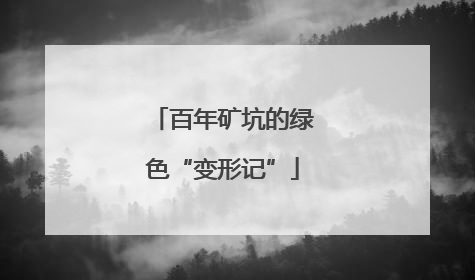 百年矿坑的绿色“变形记”
