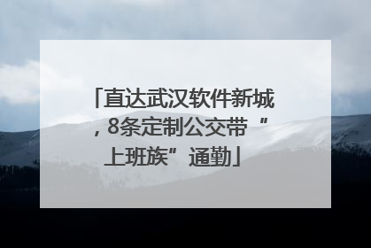 直达武汉软件新城，8条定制公交带“上班族”通勤