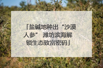 盐碱地种出“沙漠人参” 潍坊滨海解锁生态致富密码