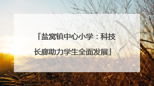 盐窝镇中心小学：科技长廊助力学生全面发展