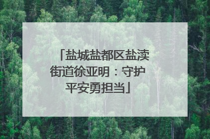 盐城盐都区盐渎街道徐亚明：守护平安勇担当