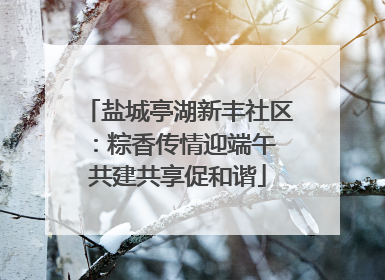 盐城亭湖新丰社区：粽香传情迎端午 共建共享促和谐