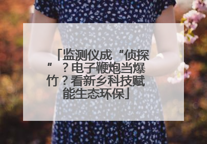 监测仪成“侦探”？电子鞭炮当爆竹？看新乡科技赋能生态环保