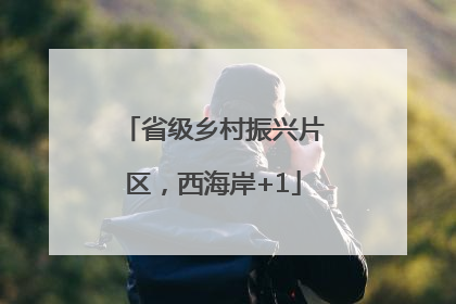 省级乡村振兴片区，西海岸+1