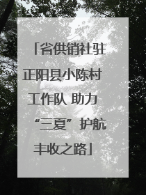 省供销社驻正阳县小陈村工作队 助力“三夏”护航丰收之路
