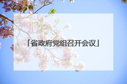 省政府党组召开会议