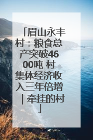 眉山永丰村：粮食总产突破4600吨 村集体经济收入三年倍增｜牵挂的村