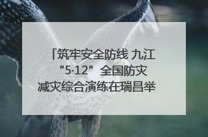 筑牢安全防线 九江“5·12”全国防灾减灾综合演练在瑞昌举行（组图｜视频）