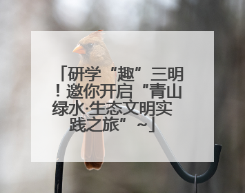 研学“趣”三明！邀你开启“青山绿水·生态文明实践之旅”~