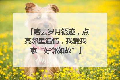 磨去岁月锈迹，点亮邻里温情，我爱我家“好邻如故”