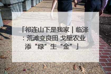 祁连山下是我家｜临泽：荒滩变良田 戈壁农业添“绿”生“金”