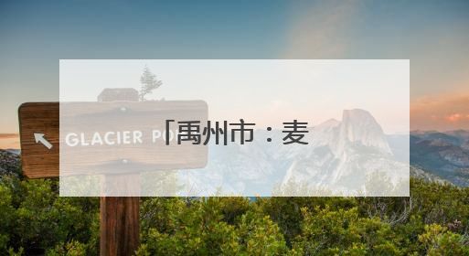 禹州市：麦罢抢种急