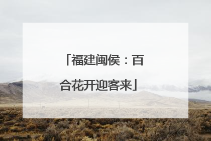 福建闽侯：百合花开迎客来