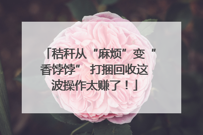 秸秆从“麻烦”变“香饽饽” 打捆回收这波操作太赚了！