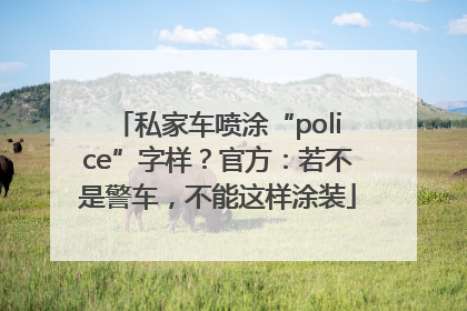 私家车喷涂“police”字样？官方：若不是警车，不能这样涂装