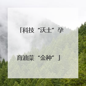 科技“沃土”孕育油菜“金种”