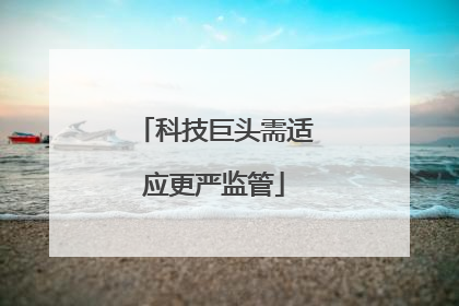 科技巨头需适应更严监管