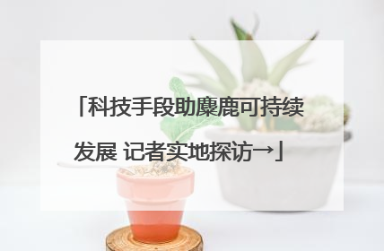 科技手段助麋鹿可持续发展 记者实地探访→